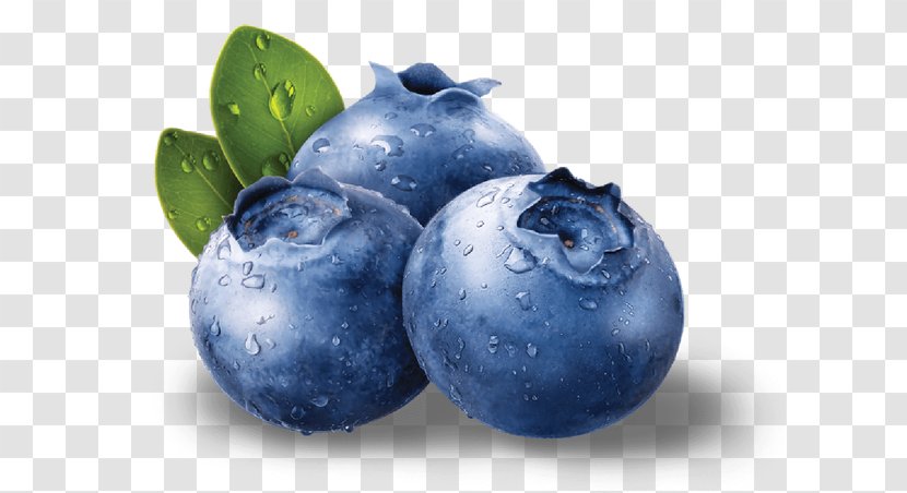 Blueberry Bilberry Fruit Antioxidant Seed - Plant Transparent PNG
