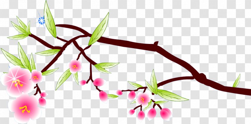 Blossom Flower Petal - Plum Transparent PNG