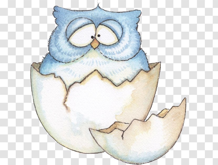 Owl Drawing Picasa Web Albums Illustration - Fictional Character - Eagles Broken Shell Transparent PNG