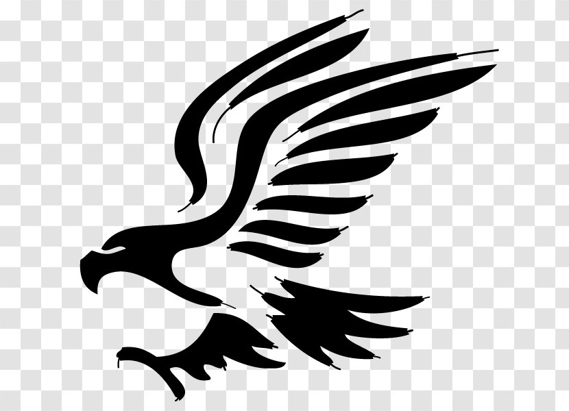 Bald Eagle Colegio De Bachilleres Del Estado Chihuahua Plantel 6 Ópticas 20 Óptica México - Bird - Lic Logo Transparent PNG