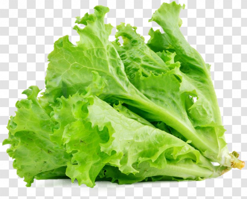 Lettuce Sandwich Butterhead Vegetable Salad Food Transparent PNG