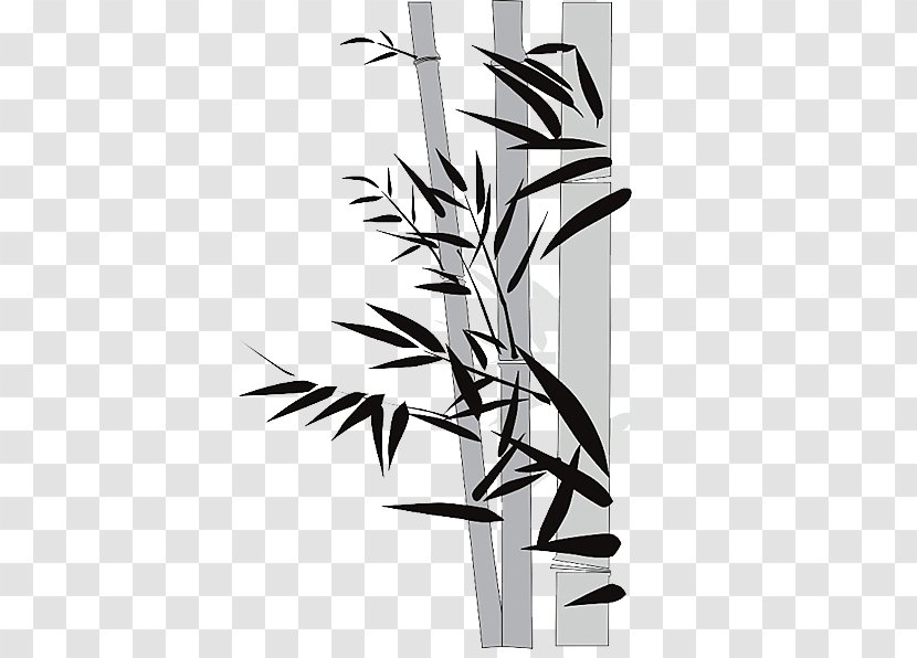 Bamboo Bamboe Euclidean Vector - Flower - Cartoon Picture Material Transparent PNG