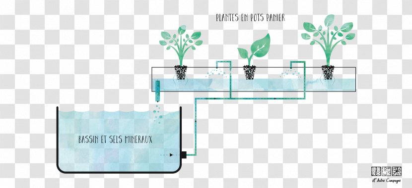 Hydroponics Aquaponics Farm L'Autre Campagne Technology - Material - Plantes Transparent PNG