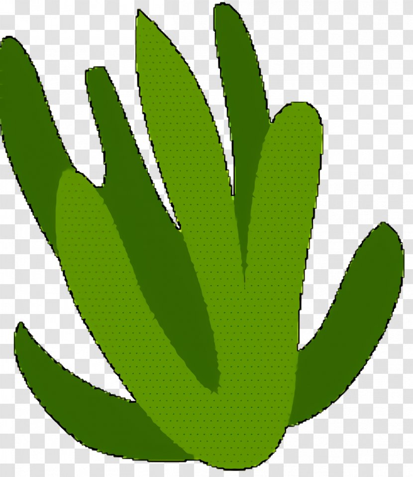 Green Leaf Logo - Cactus Transparent PNG