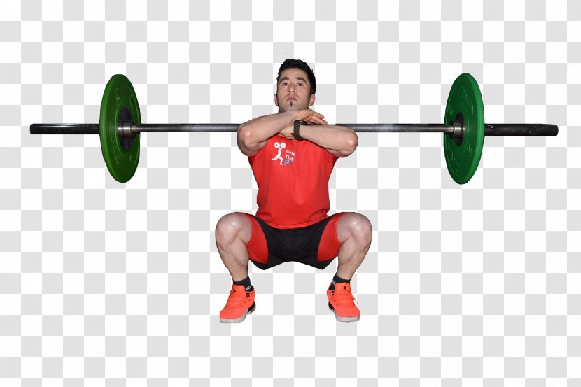 Powerlifting Barbell Weight Training CrossFit BodyPump - Tree - Gym Squats Transparent PNG