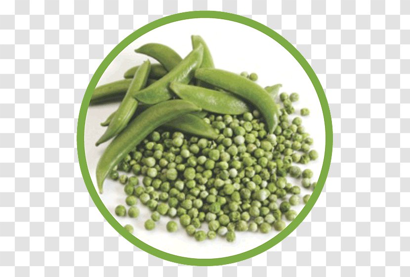 Vegetarian Cuisine Pea Vegetable Food Ingredient - Salad - Peas Transparent PNG