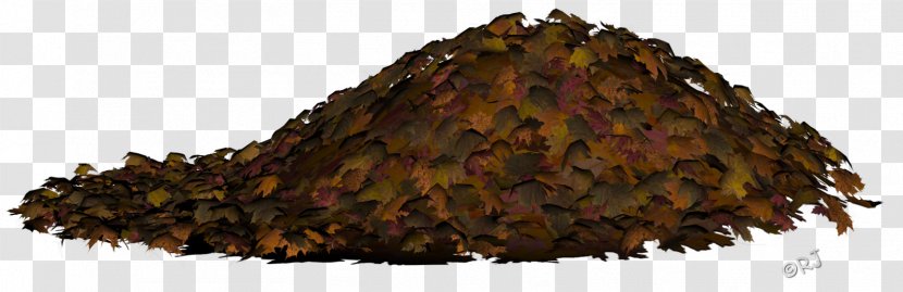 Autumn Leaf Color Clip Art Image - Tree Transparent PNG
