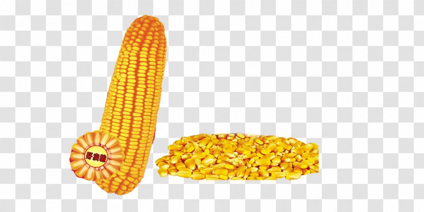 Corn On The Cob Maize Kernel Sweet - Grain - And Kernels Transparent PNG