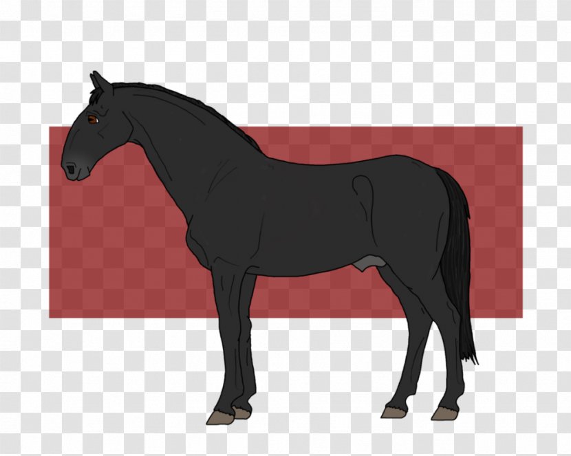 Stallion Mustang Mare Rein Pony - Yonni Meyer Transparent PNG