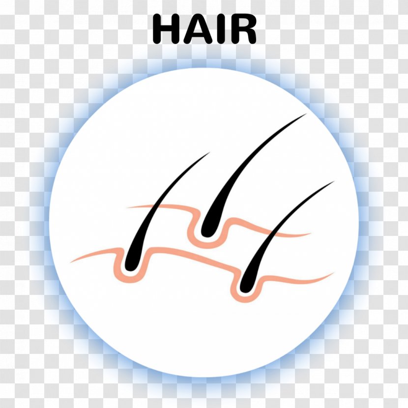 Logo Brand Line Font - Laser Hair Removal Transparent PNG