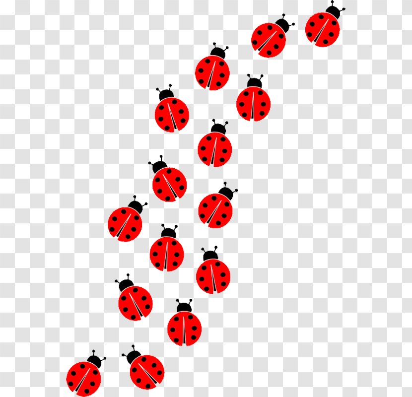 Ladybird Clip Art - Area - Ladybug Transparent PNG