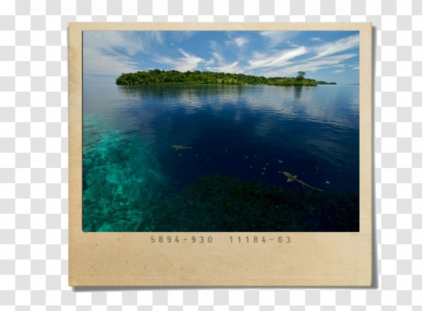 Water Resources Picture Frames Inlet Rectangle - Frame Transparent PNG