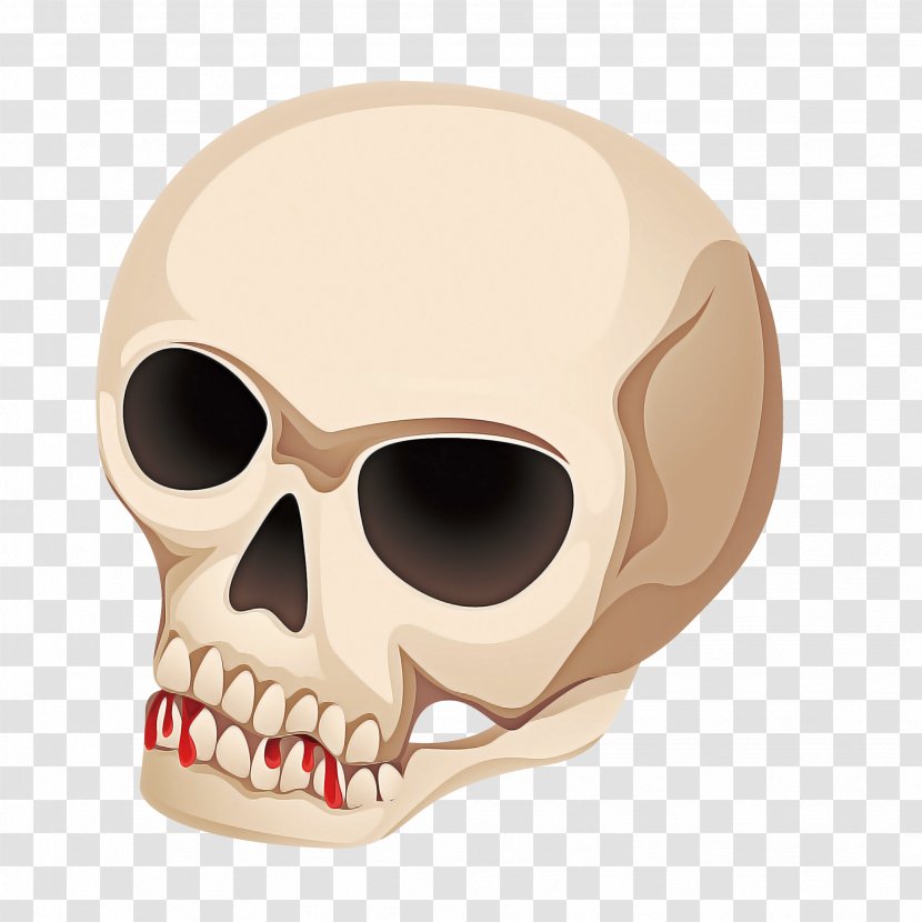 Bone Skull Face Head Jaw - Skeleton Mouth Transparent PNG