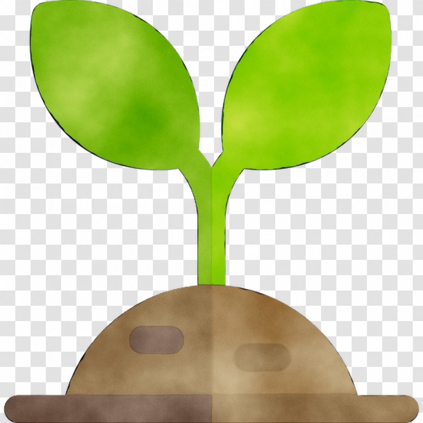 Product Design Leaf - Green - Houseplant Transparent PNG