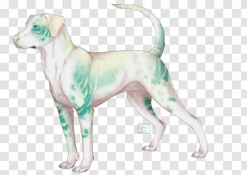 Dog Breed Sporting Group Companion Transparent PNG