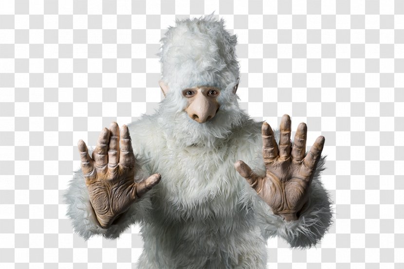 Yeti Light - Camera Transparent PNG