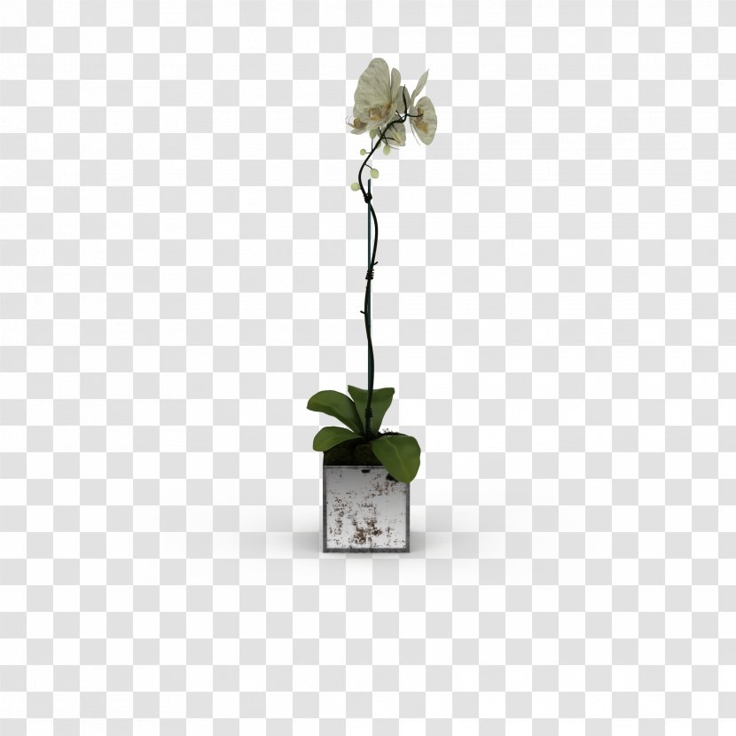 3D Computer Graphics Modeling Flower - Bonsai - White Flowers Fresh Bouquet Transparent PNG
