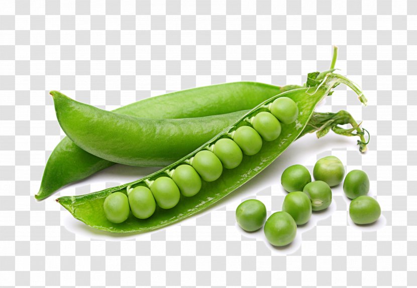 Chickpea Vegetable Legume Fruit - Lima Bean - Peas HQ Pictures Transparent PNG