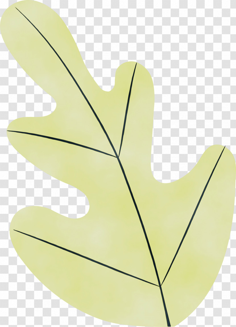 Leaf M-tree Tree Plant Structure Science Transparent PNG