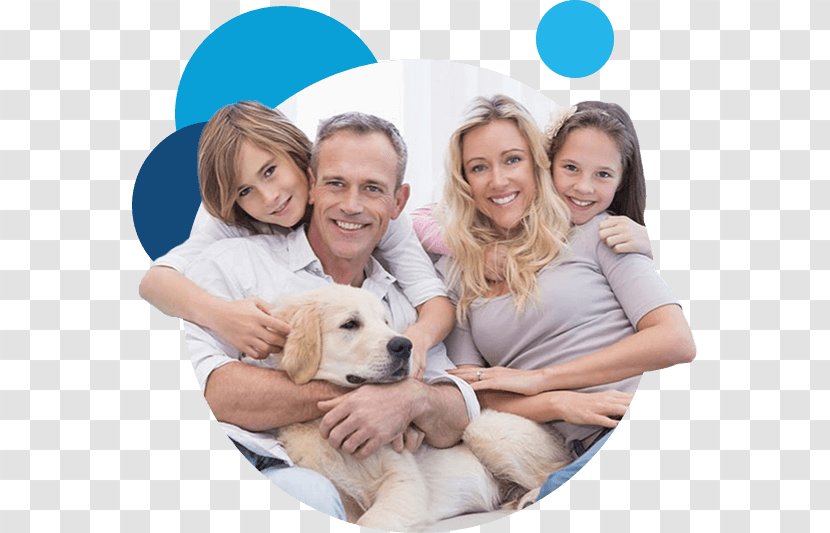 Dog Breed Family Child Puppy - Toddler Transparent PNG