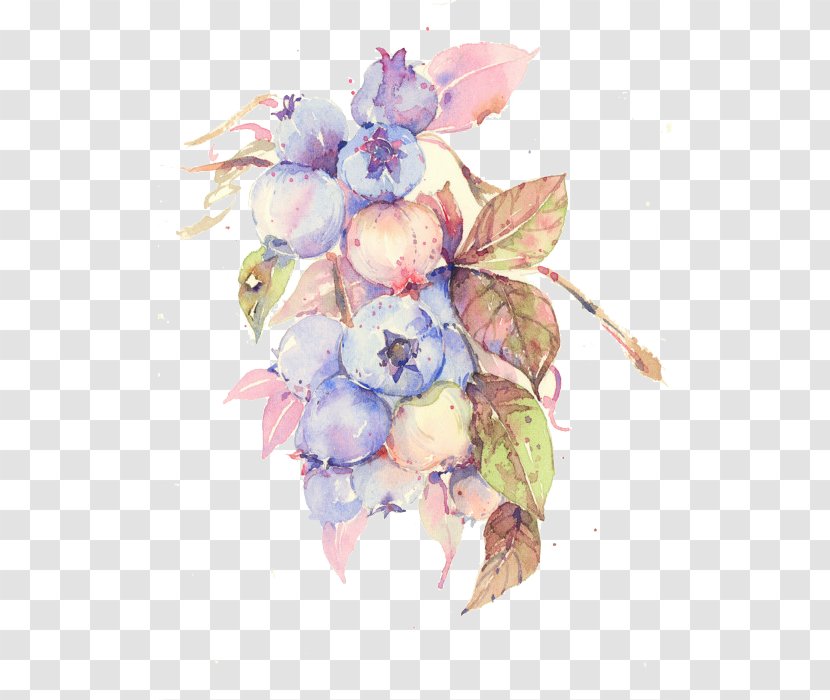 Floral Design Watercolor Painting Flower Illustration - Bouquet - Blueberry Fruit Transparent PNG