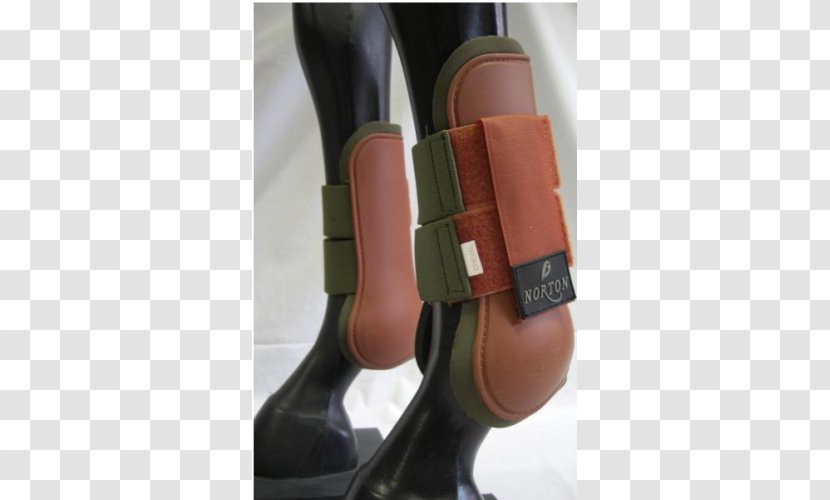 Riding Boot Ankle Shoe Equestrian Norton AntiVirus - Tendon Transparent PNG