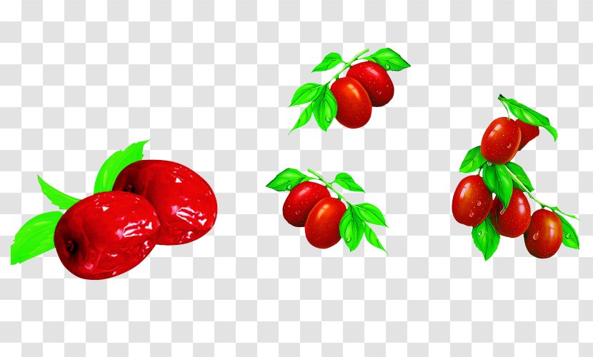 Loulan Red Jujube Hongzao Barbados Cherry - Food - Dates Transparent PNG