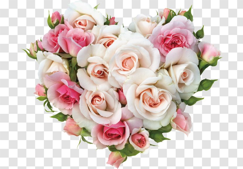 Light Rose Mural Color Flower - Cut Flowers Transparent PNG