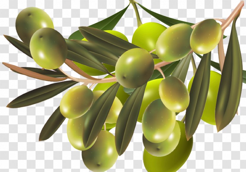 Olive Food - Nutrition Material Transparent PNG