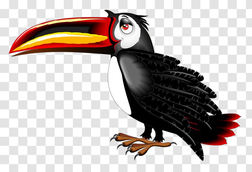 Toucan Bird Cartoon Clip Art - Fauna - Crow Transparent PNG