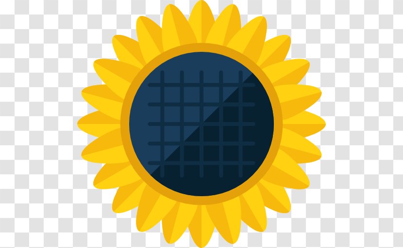 Common Sunflower Seed Icon - A Transparent PNG