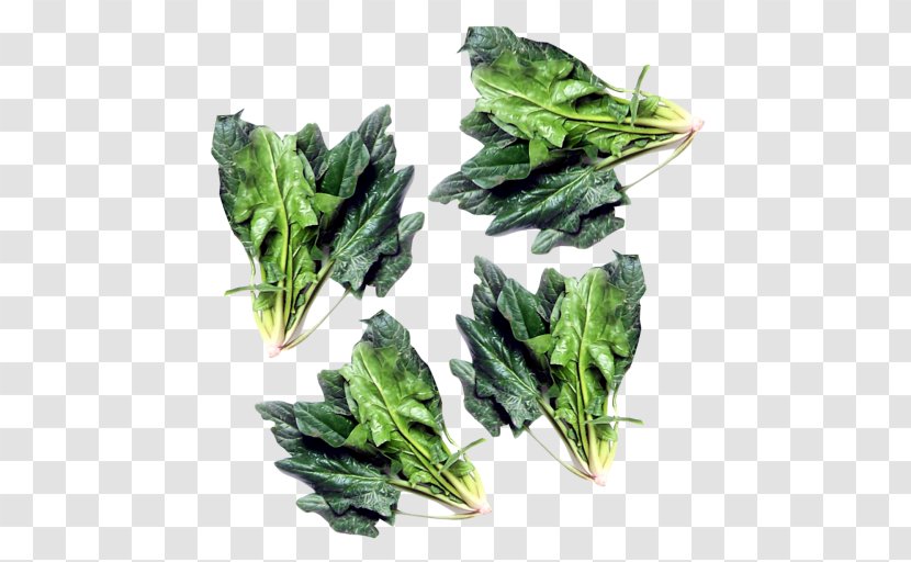 Pancake Greens Spinach Chard Vegetarian Cuisine - Komatsuna Transparent PNG