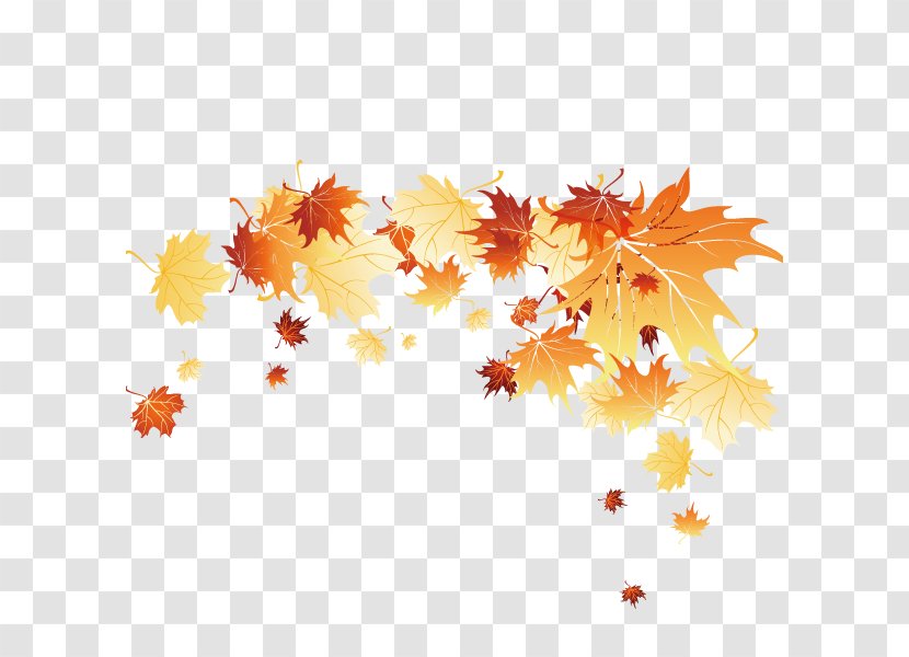 Leaf Autumn Computer File - Pattern - Fall,Leaves,decoration Transparent PNG