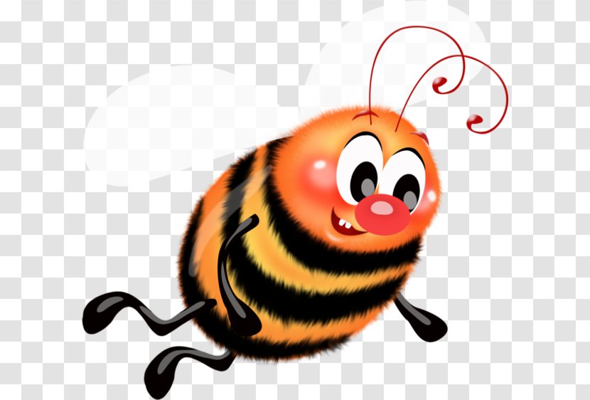 Western Honey Bee Insect Ladybird Beetle Clip Art Transparent PNG