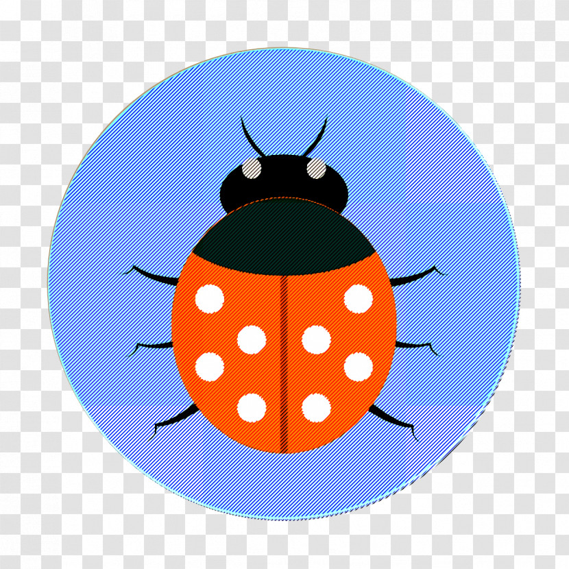 Ladybug Icon Modern Education Icon Bug Icon Transparent PNG