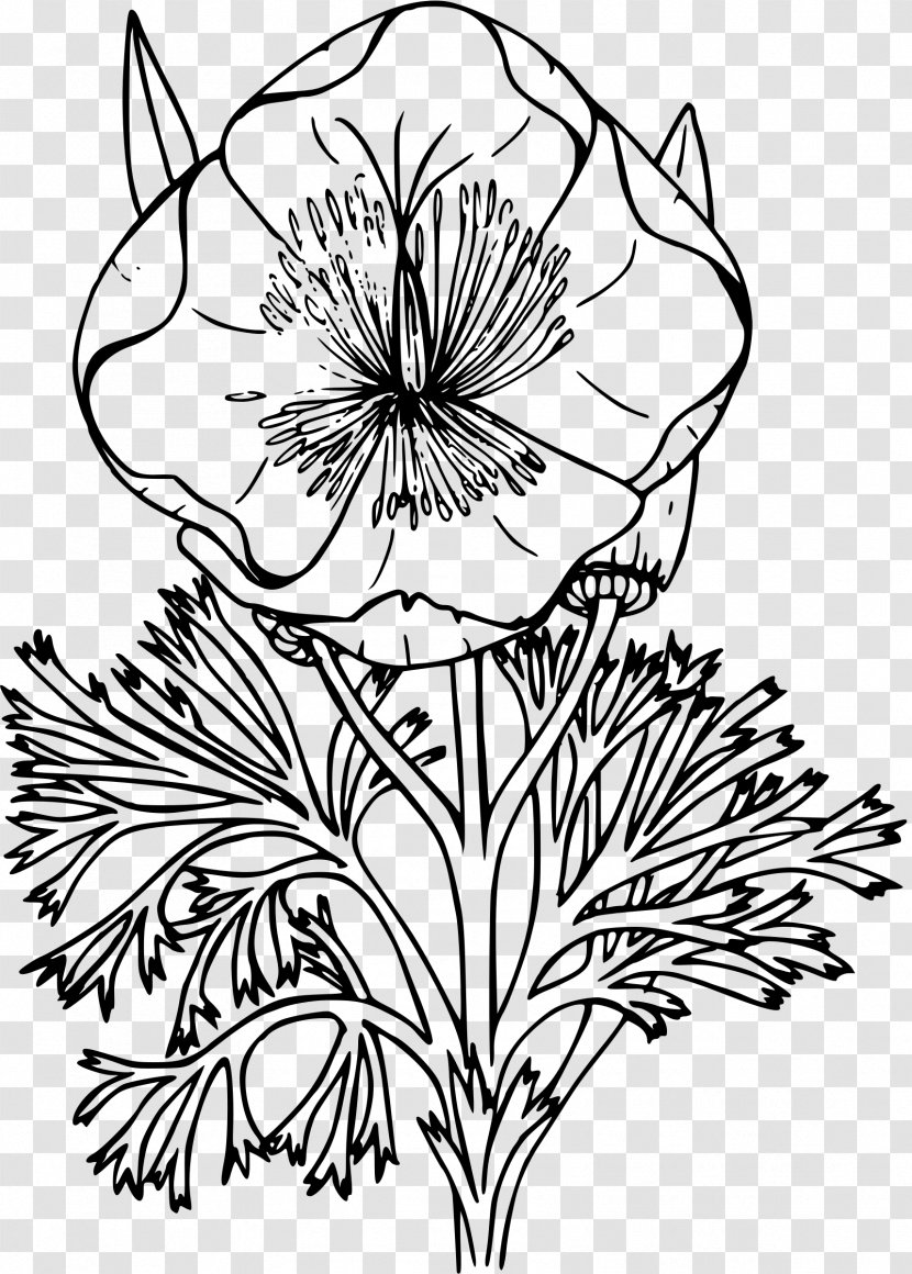 California Poppy Drawing Coloring Book - Black And White Transparent PNG