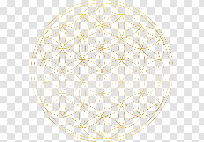 Circle Symmetry Point Pattern Transparent PNG