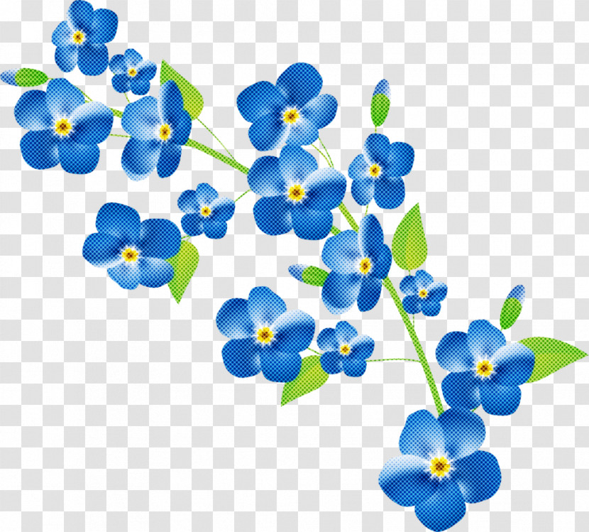 Blue Cobalt Blue Flower Forget-me-not Plant Transparent PNG