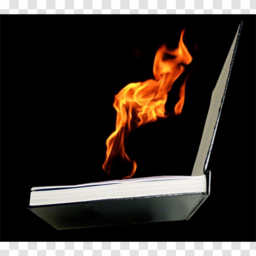 Flame Torch Lewes Bonfire Combustion - Cartoon Transparent PNG
