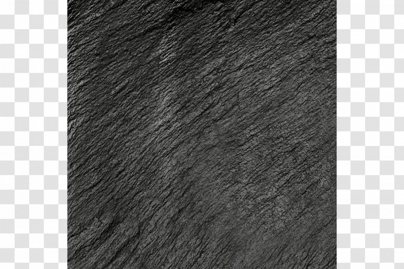 Flooring Fur Grey Wool - Black And White Transparent PNG