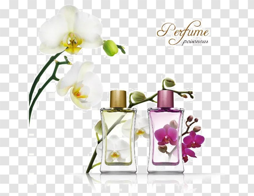 Perfumer Eau De Toilette IPRA Fragrances Aroma Compound - Odor - Exquisite Small Bottle Transparent PNG