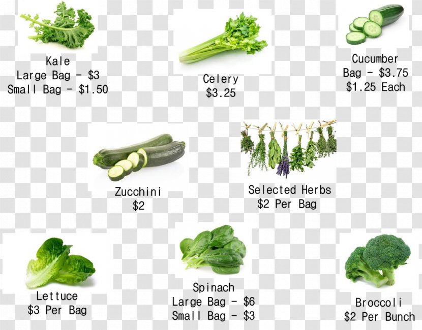 IHerb Douchegordijn Leaf Vegetable Superfood - Shower - Broccoli Sprouts Transparent PNG
