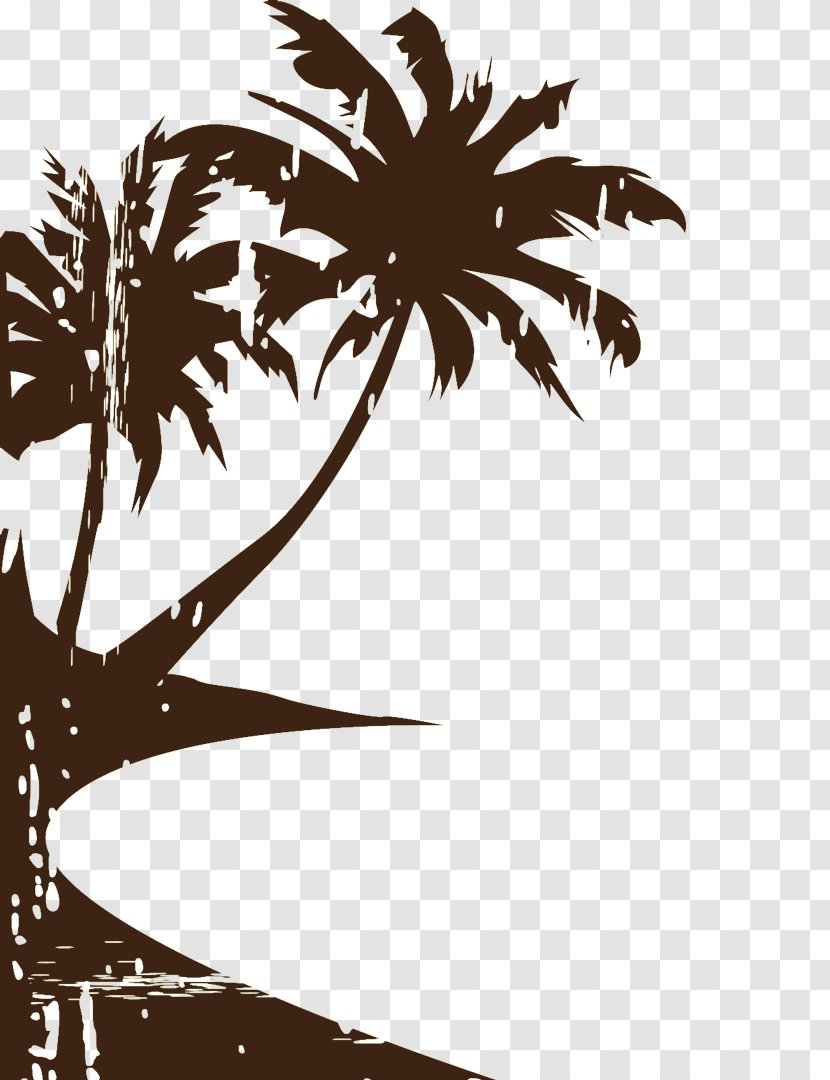 Arecaceae Ocean Beach Seaside Resort Transparent PNG