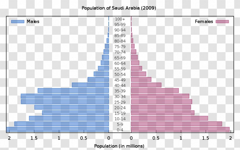 Population Pyramid World Prospects: The 2008 Revision Europe - Demography - Married Bride And Groom Transparent PNG