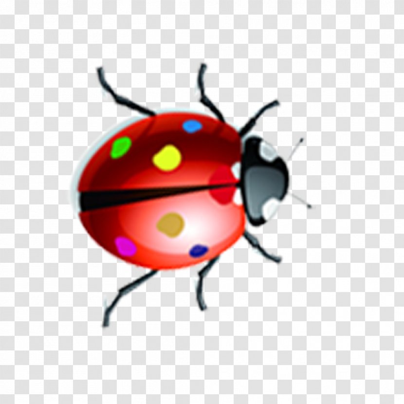 Ladybird Insect Drawing - Red - Cartoon Insects Transparent PNG