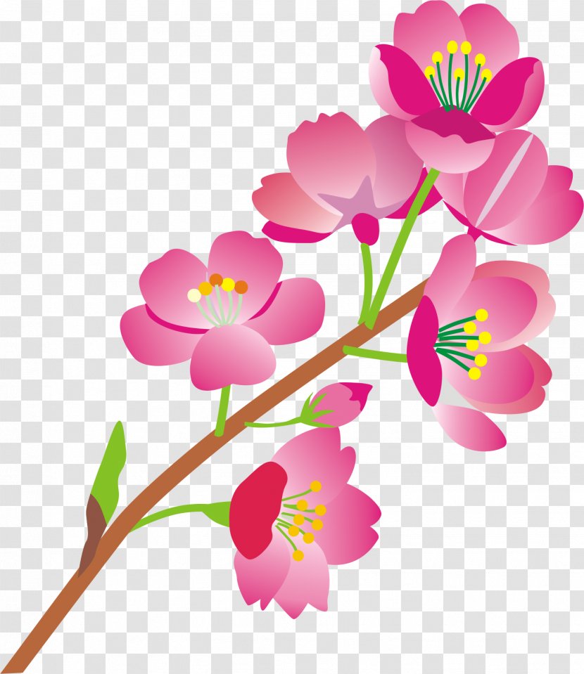 Windows Thumbnail Cache Flower Floral Design 0 - Flora - 荞麦面 Transparent PNG