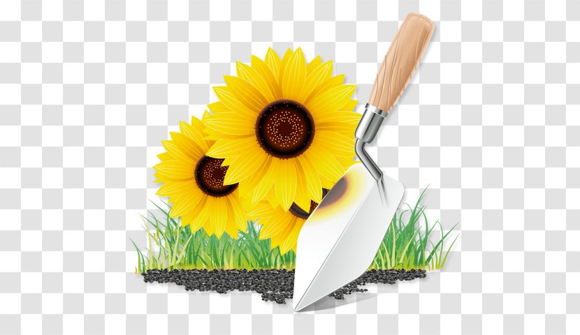 Garden Tool Kitchen Stock Photography Flower - Daisy Family - Shovel Transparent PNG