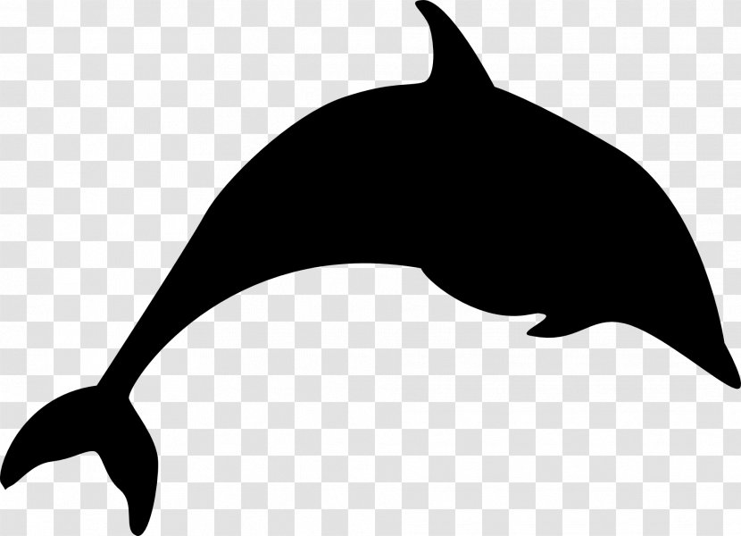 Tucuxi Killer Whale Dolphin Clip Art Fauna Transparent PNG