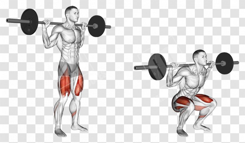 Squat Barbell Exercise Weight Training Lunge - Heart Transparent PNG