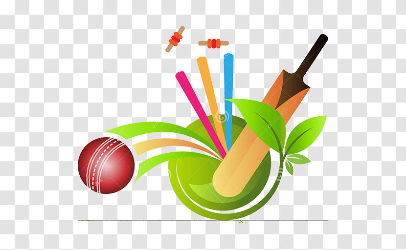 Big Bash League Indian Premier Cricket Balls Sports Transparent PNG